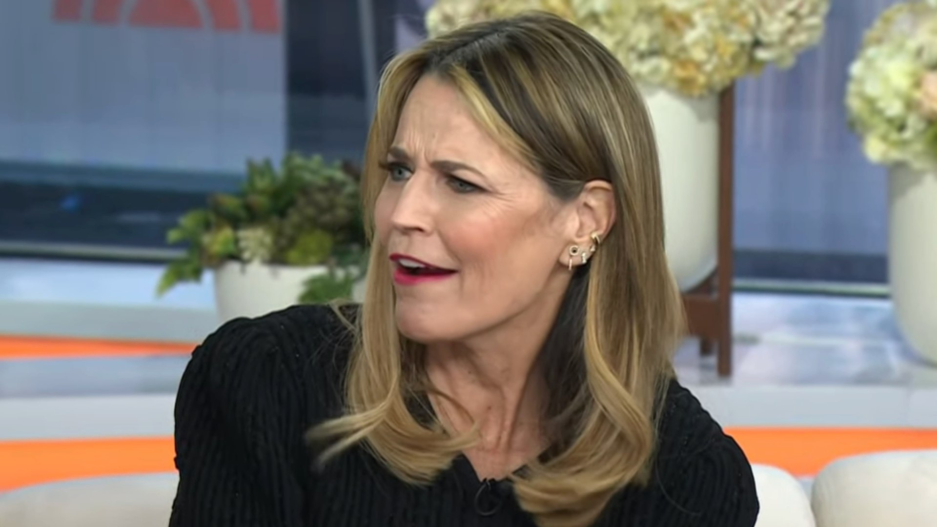 Savannah Guthrie and new Today co-host differ in opinion during lively debate on show: 'Are you disputing this?' | HELLO!