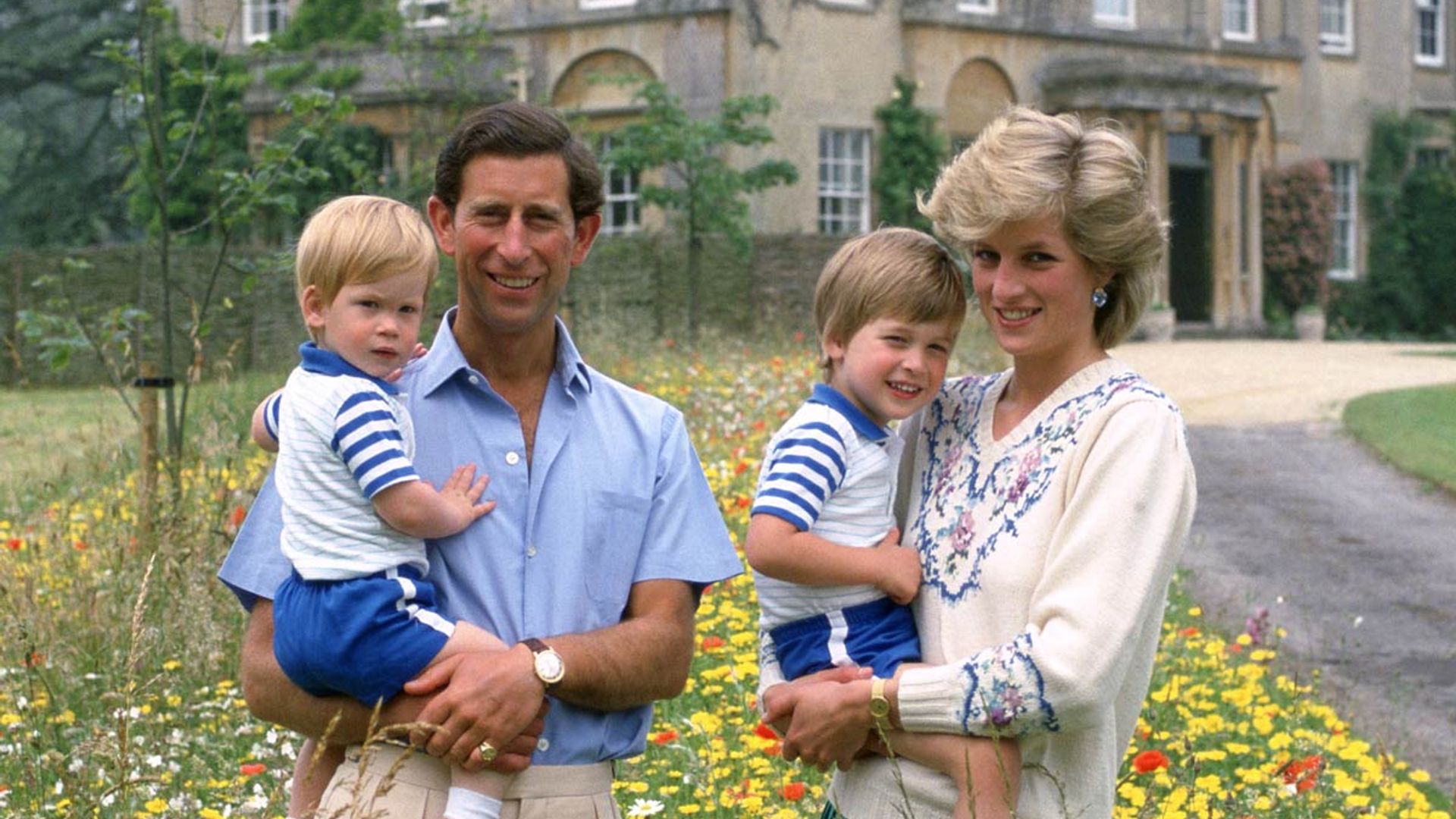 Prince Harry and William pictured playing in epic unearthed childhood photo  | HELLO!