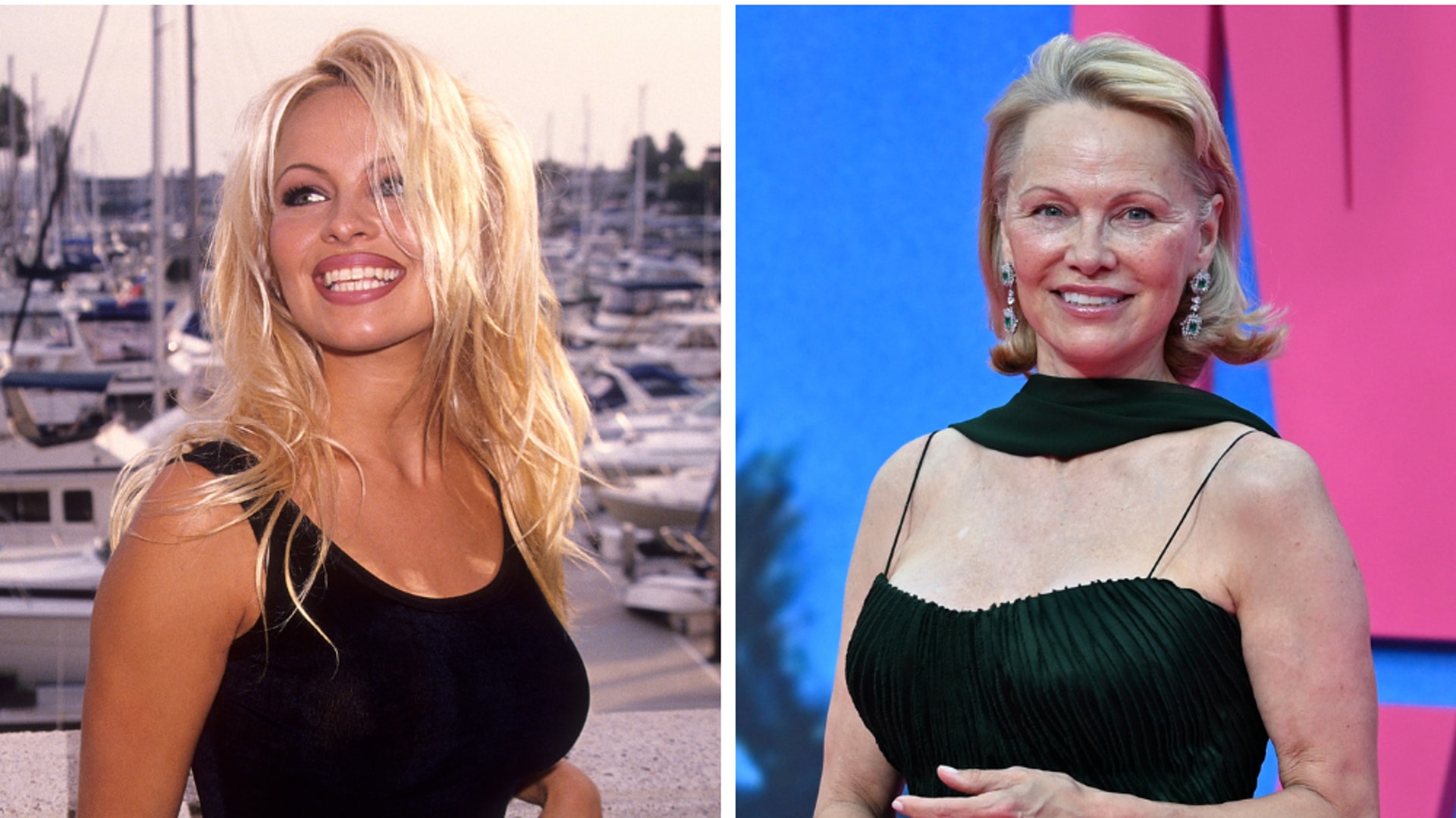 Pamela Anderson split image