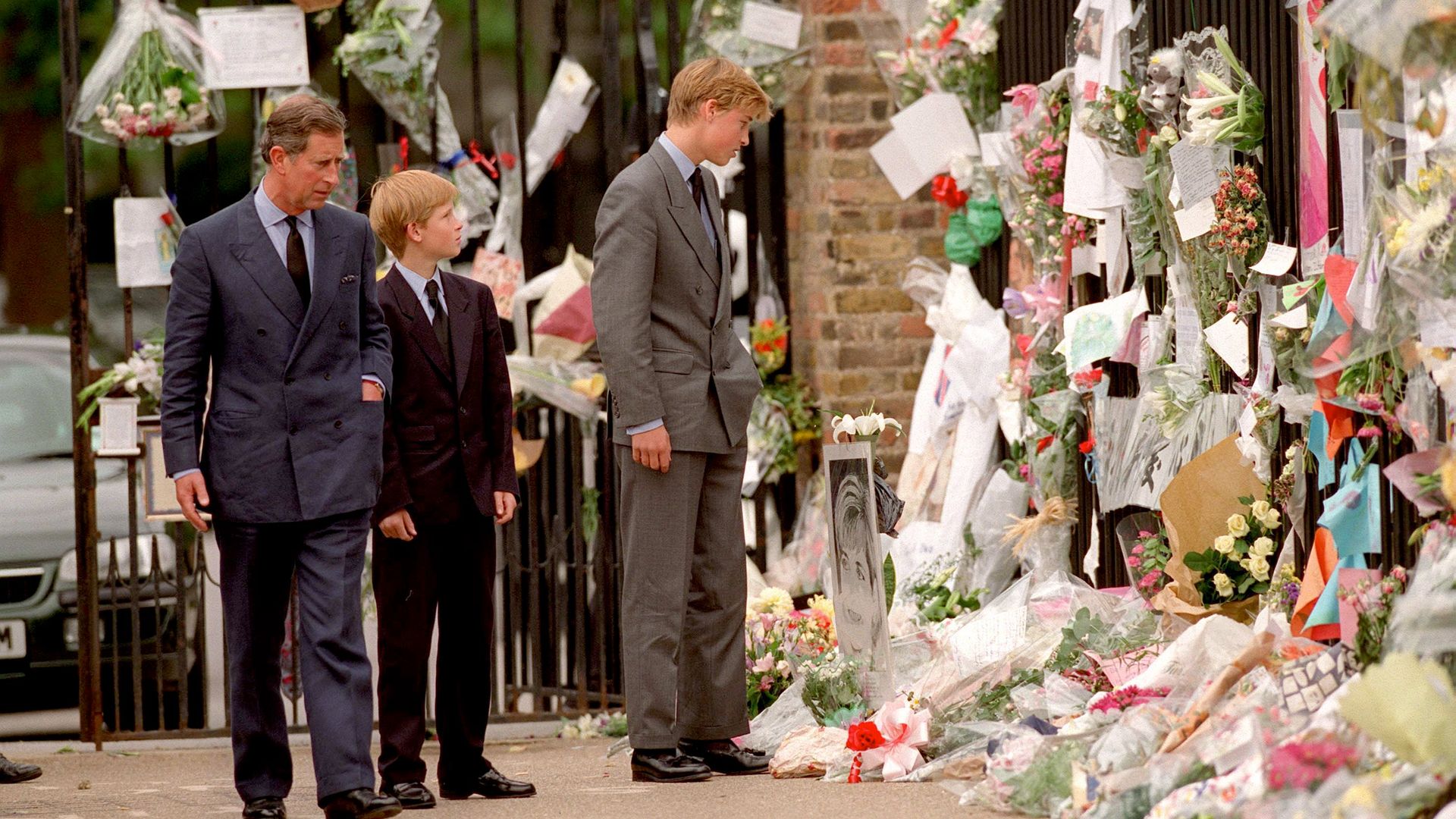 The trip Prince William was meant to have taken the day Princess Diana died  revealed by royal pilot | HELLO!