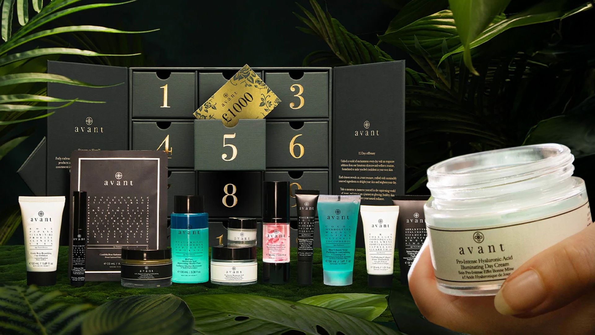 avant advent calendar header