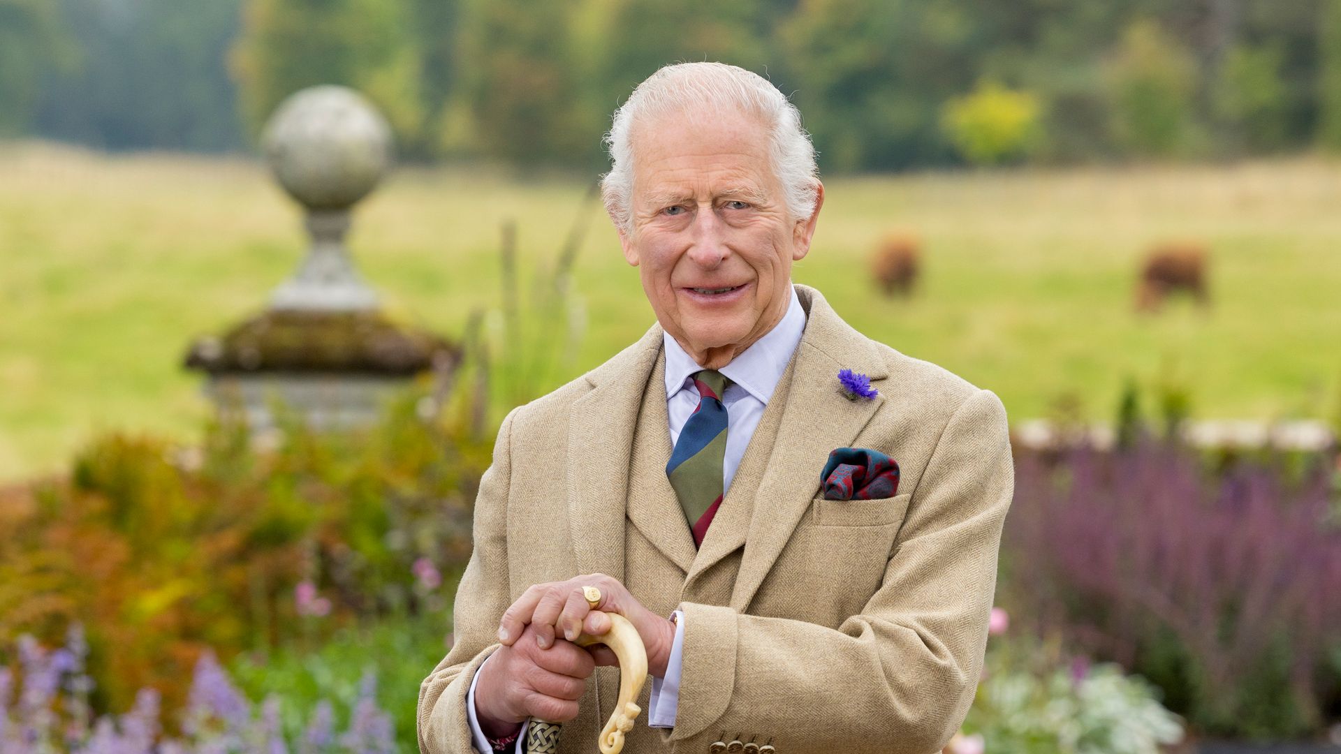 King Charles pictured with walking stick in regal new portrait from  Scottish home | HELLO!