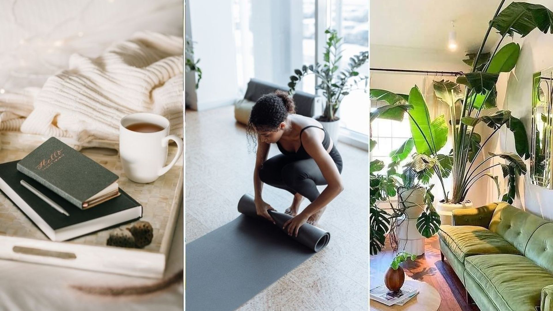 wellness trends