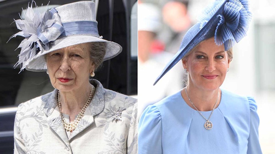 Princess Anne pictured sharing intimate moment with Duchess Sophie during  VE Day service | HELLO!