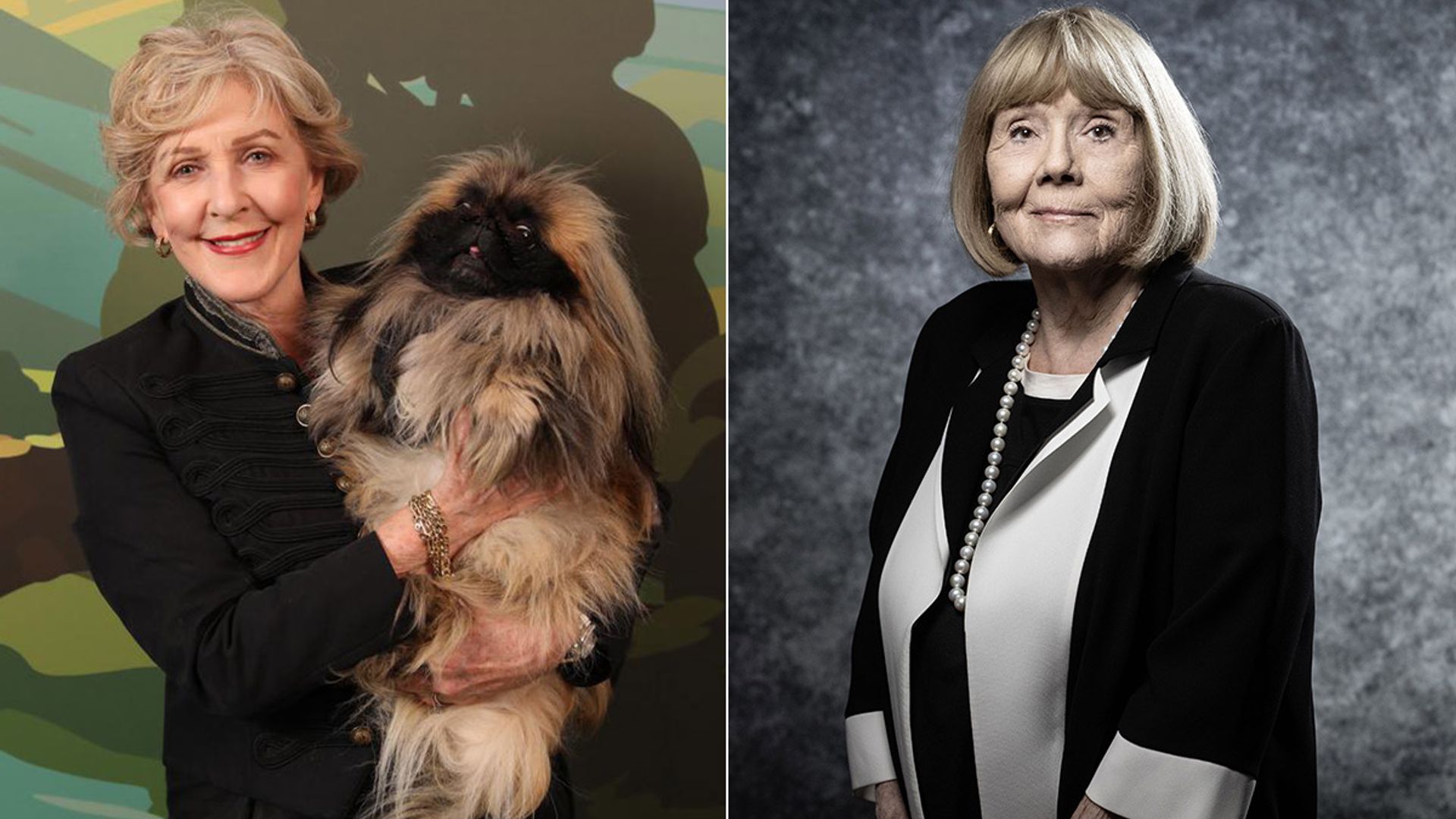 Oglim onlayn porno tomosha qilishdan tura olmadi. Oilaviy jinsiy porno tomosha qiling