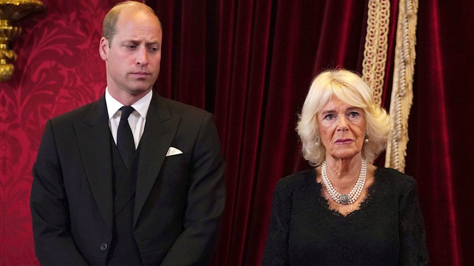 Prince William offers support to Queen Camilla during King Charles III's proclamation | HELLO!