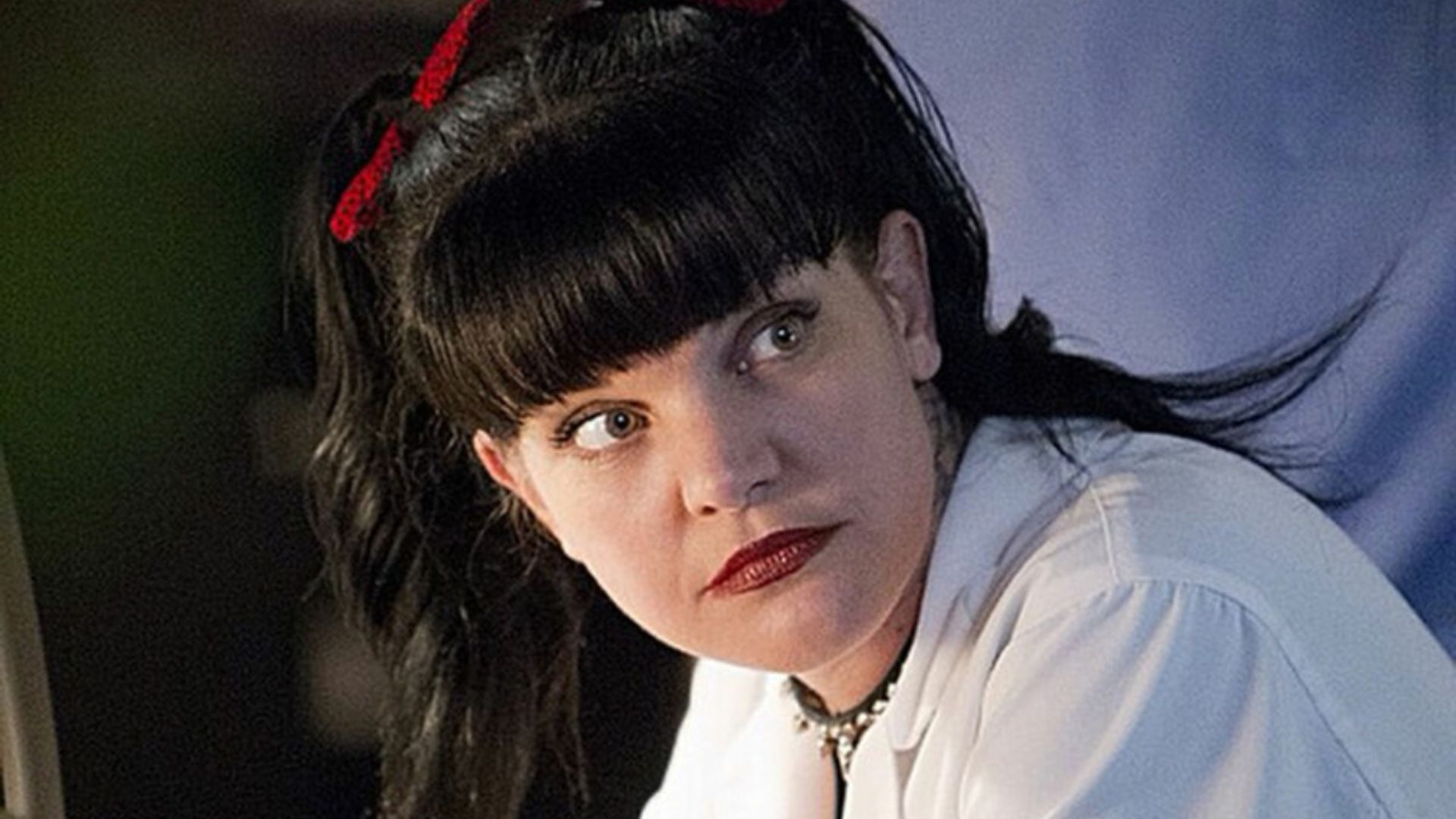 NCIS star Pauley Perrette inundated with fan support over tragic loss |  HELLO!