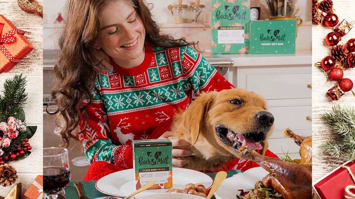 How to get your dog involved in Christmas festivities – from pooch-friendly ready meals to presents How to get your dog involved in Christmas festivities – from pooch-friendly ready meals to presents
