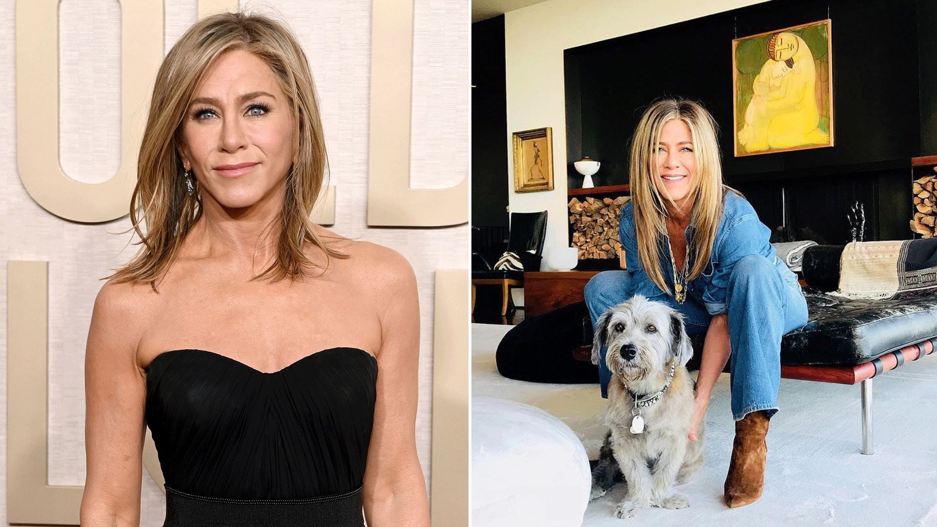 split of jennifer in black with her at home with dog