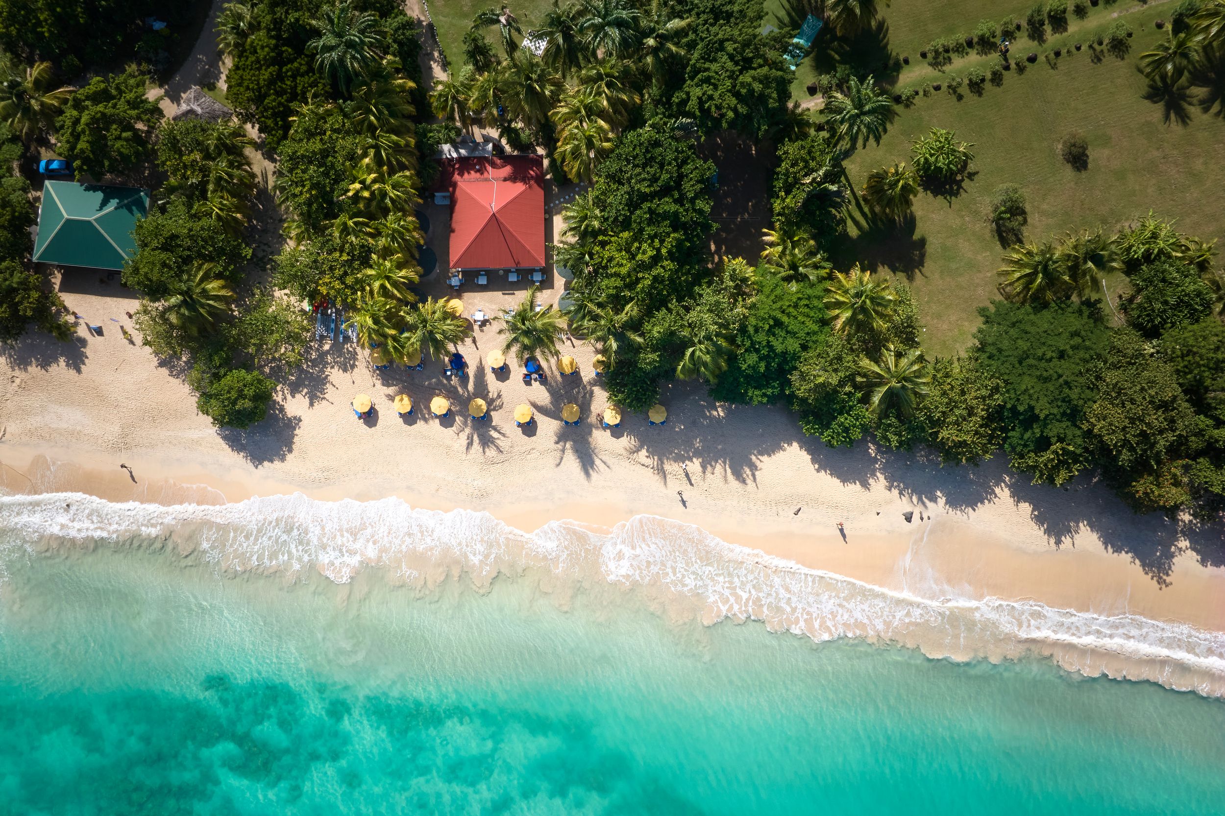aerial shot of beach in grenada