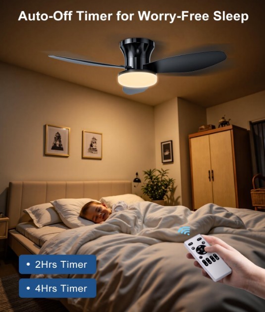 Lysumurl 2 in 1 Ceiling Fan with Light & Remote.