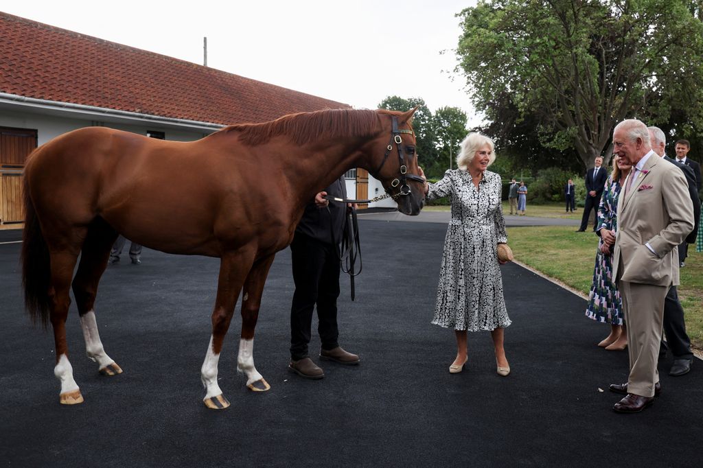 Queen Camilla and King Charles III meet racehorse Stradivarius as they visit The National Stud 