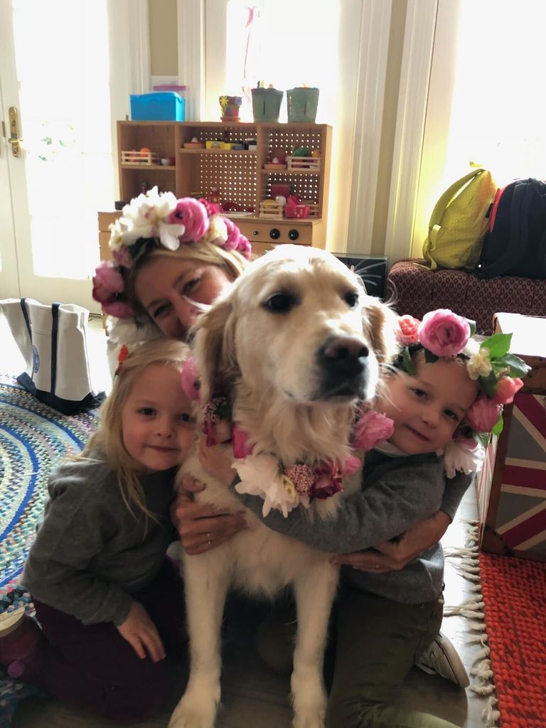 jimmy fallon family dog