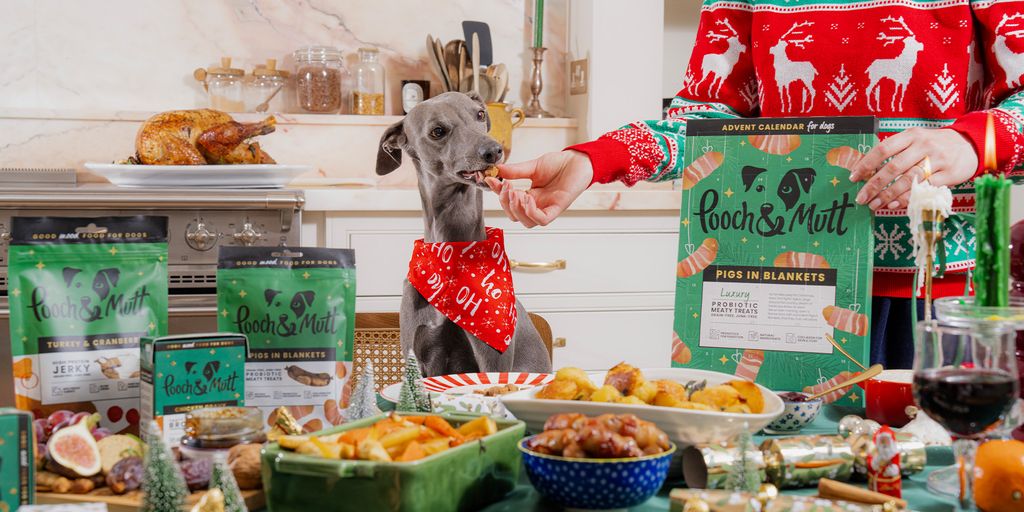 Dog surrounded by Christmas treats 