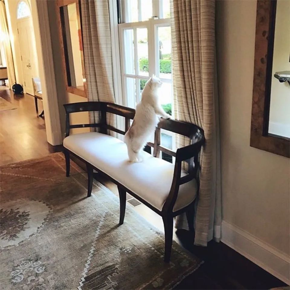Inside Keith and Nicole's Nashville home