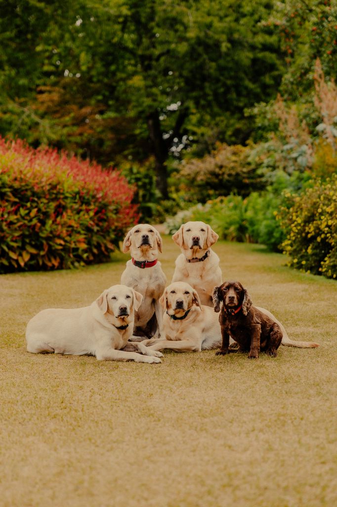 The Carnarvon's dogs in the Secret Garden at Highclere Castle, Highclere, Newbury, Hampshire, United Kingdom. 29th August 2025