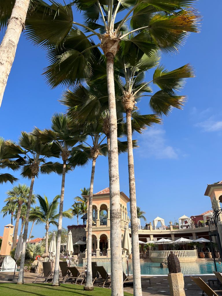 Grand El Mirador's structure is amazing