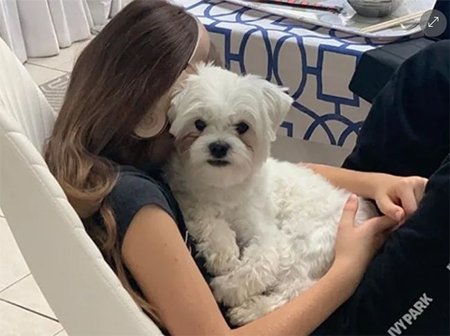 dog pic
