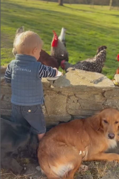 Inigo Middleton feeding chickens at Berkshire home