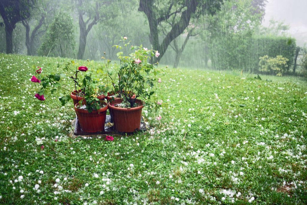Close your windows and doors when the rain starts pouring and the wind starts blowing