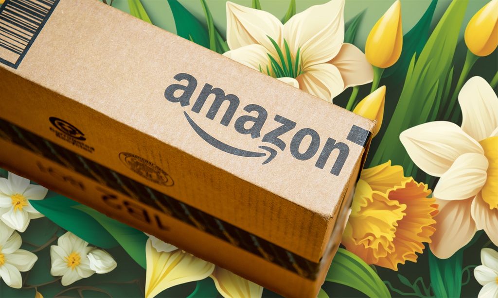 Amazon Spring Sale