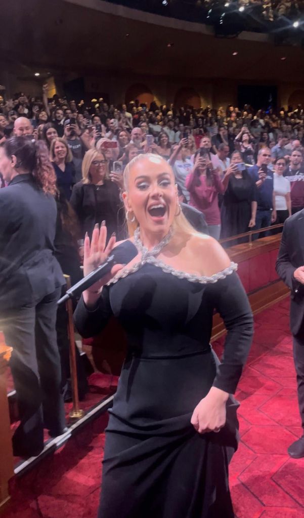 Adele wearing Stella McCartney 