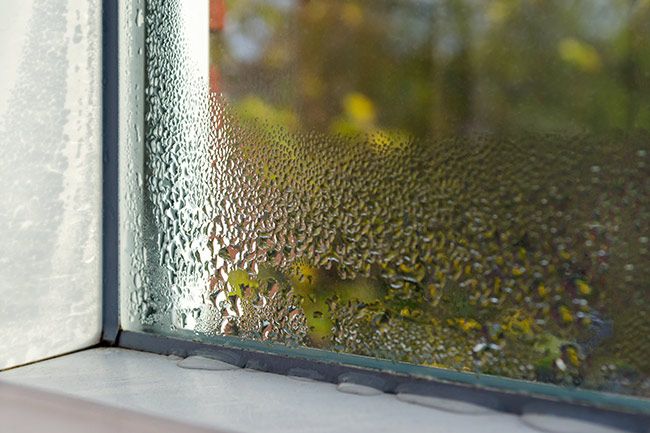 condensation on a window