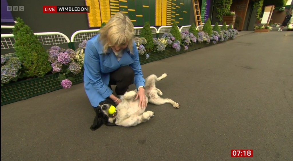 Carol Kirkwood stroking dog