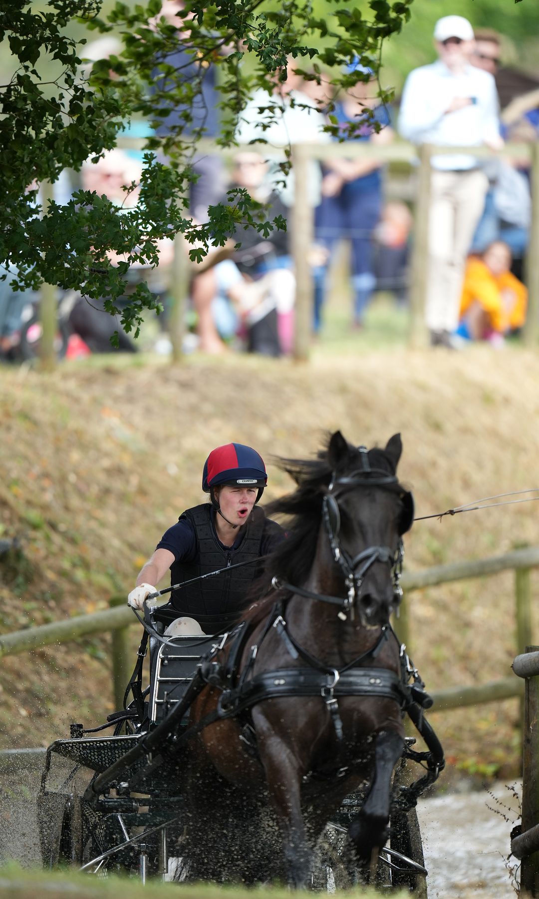 Lady Louise Windsor carriage driving on a course with Felix da Silva-Clamp in the crowd behind her