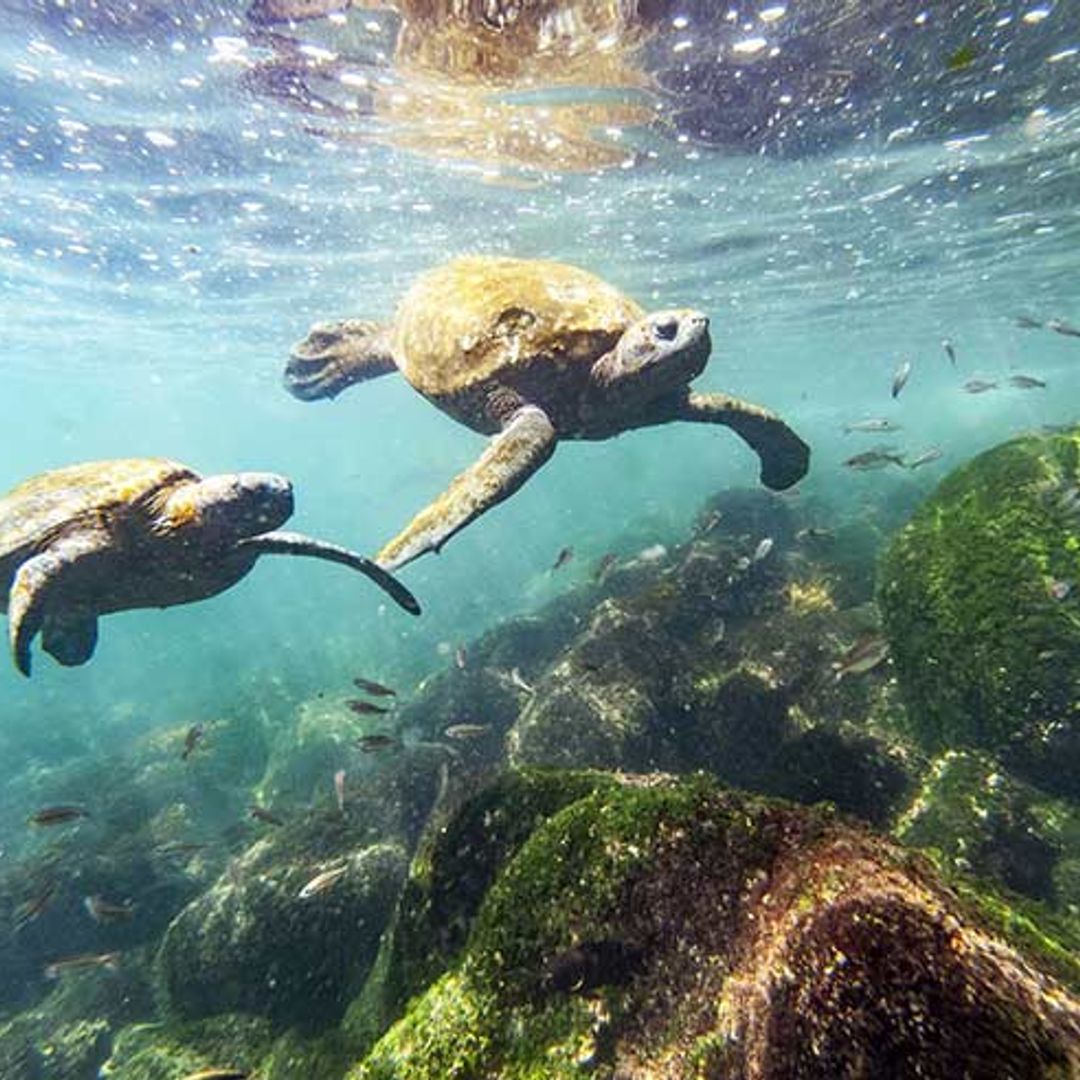 10 easy tips to cut down on single-use plastic