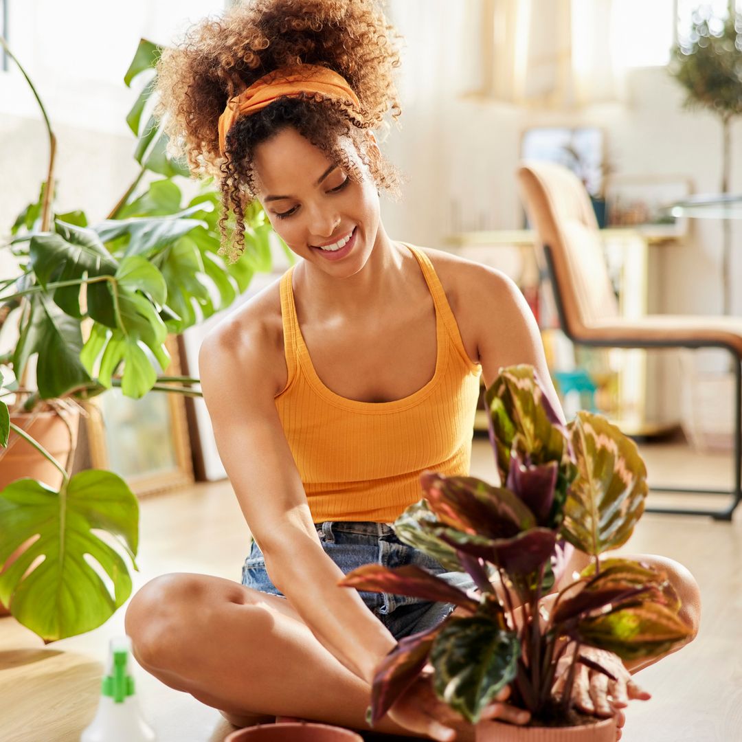 10 most low-maintenance houseplants that are virtually impossible to kill