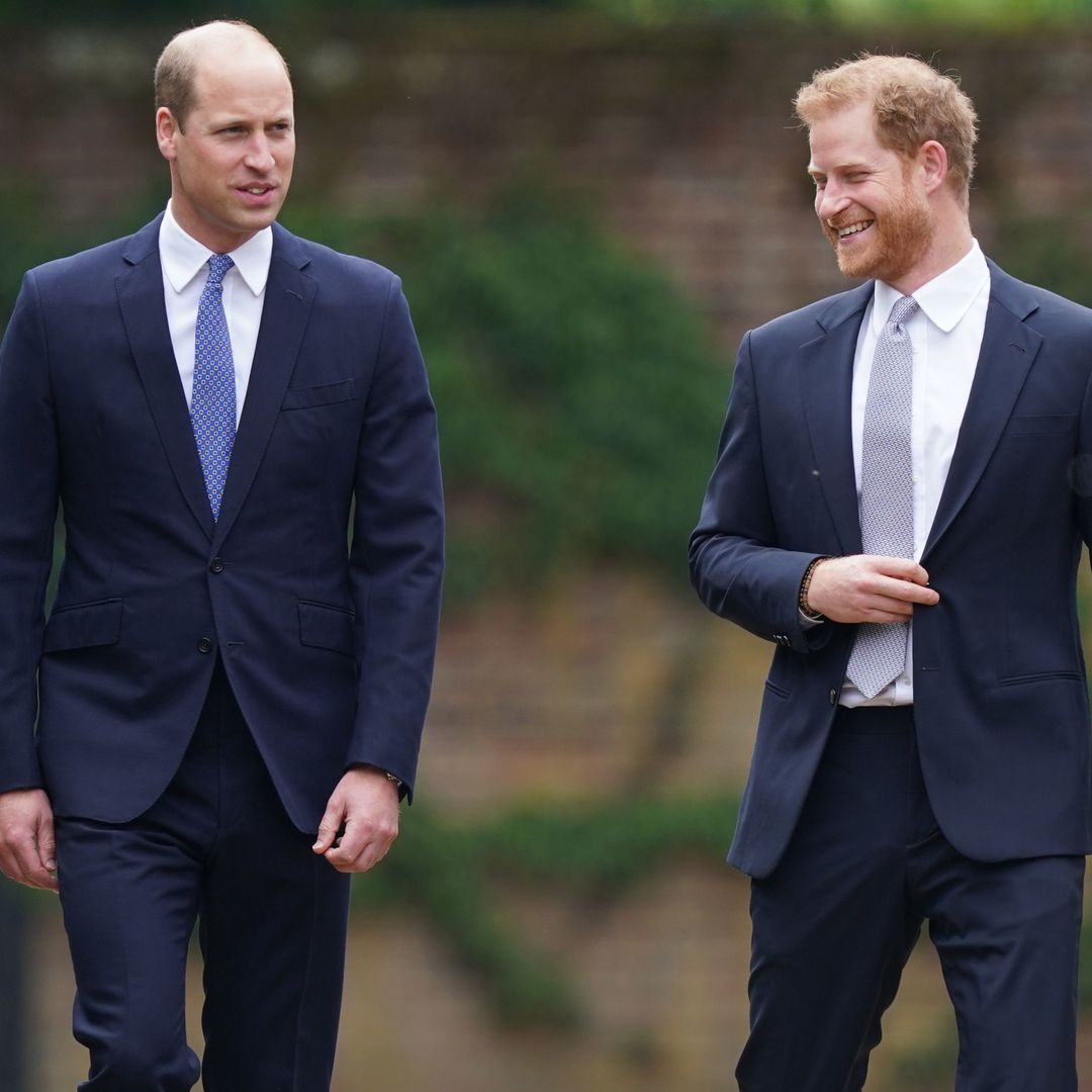 Prince Harry and Prince William's close bond in special Christmas photo