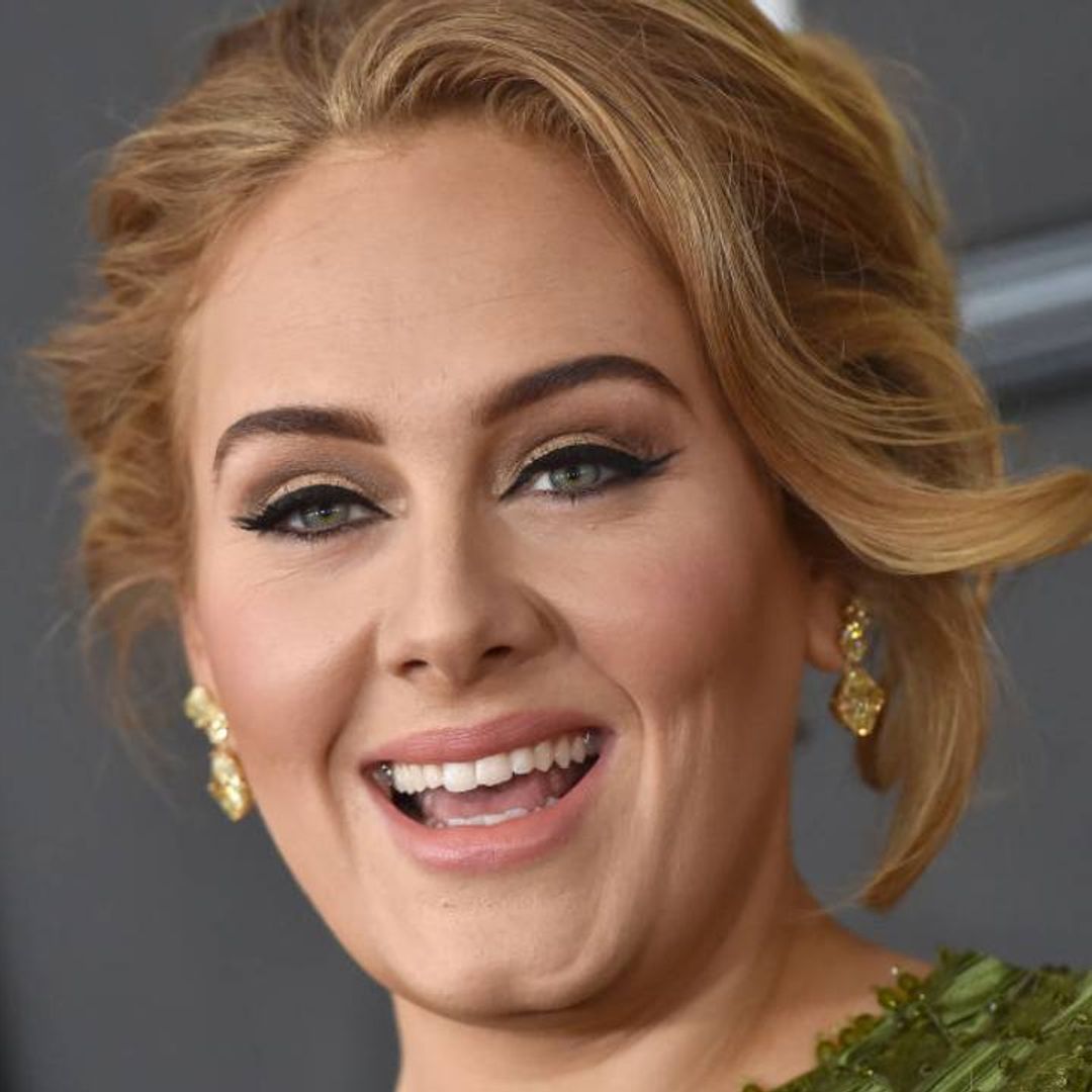 Adele looks out of this world in plunging regal gown for cover of VOGUE