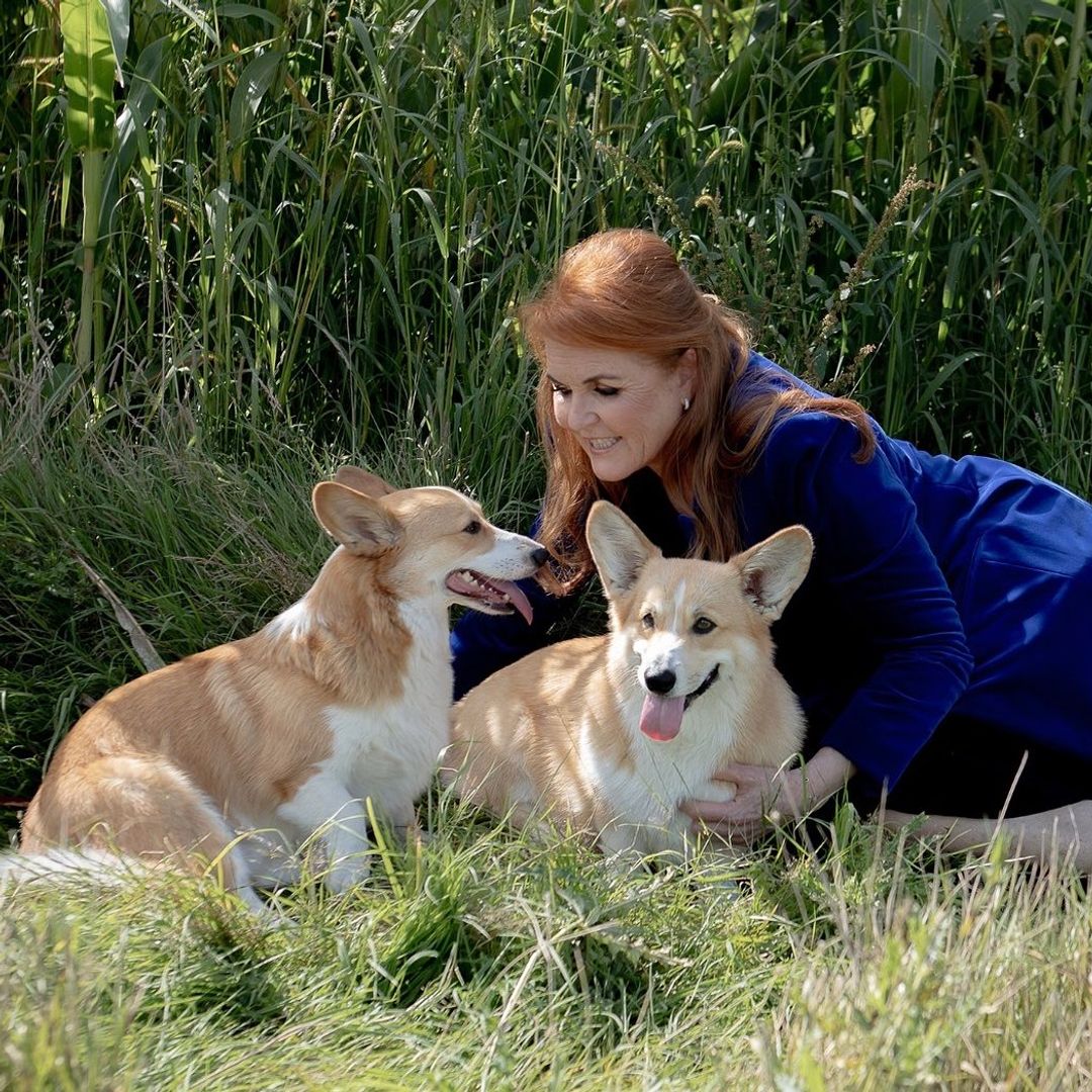 Sarah Ferguson reveals special treat she makes for late Queen's corgis