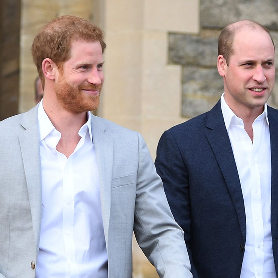 Prince Harry and Prince William approve sentimental Princess Diana tribute