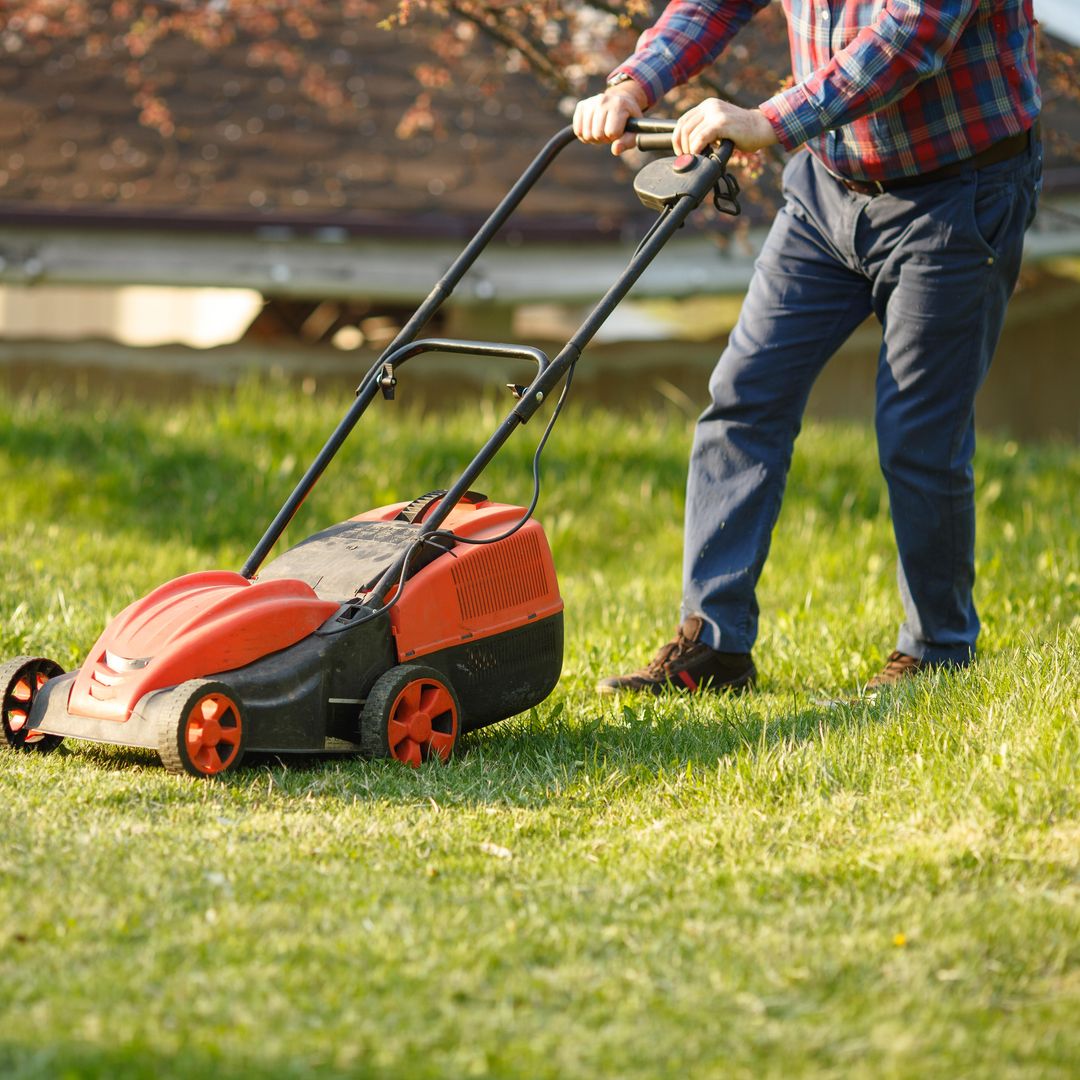 Why you should cut your lawn this Sunday - and the big mistake you're making