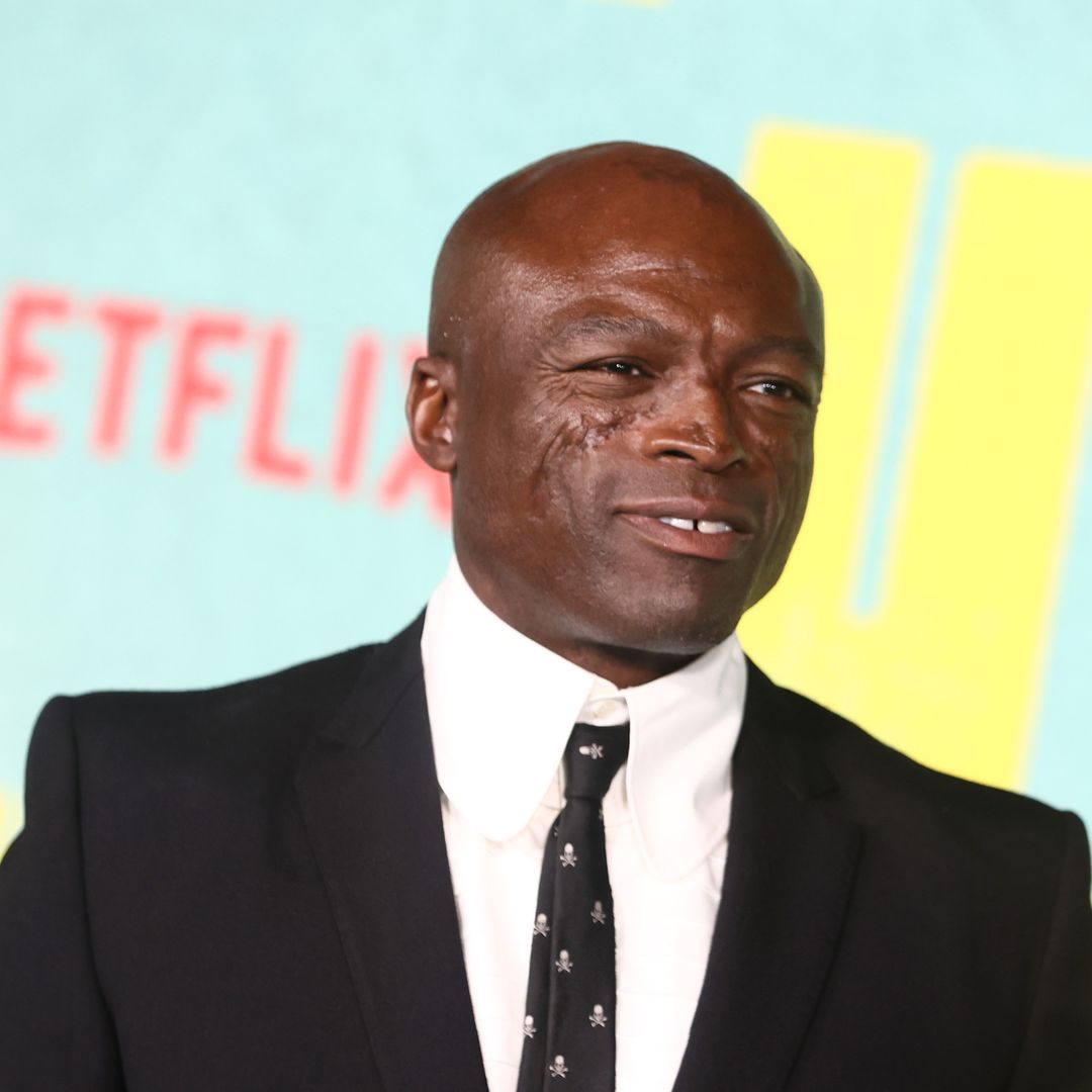 Seal shares long-awaited update on music 'over a decade' in the making
