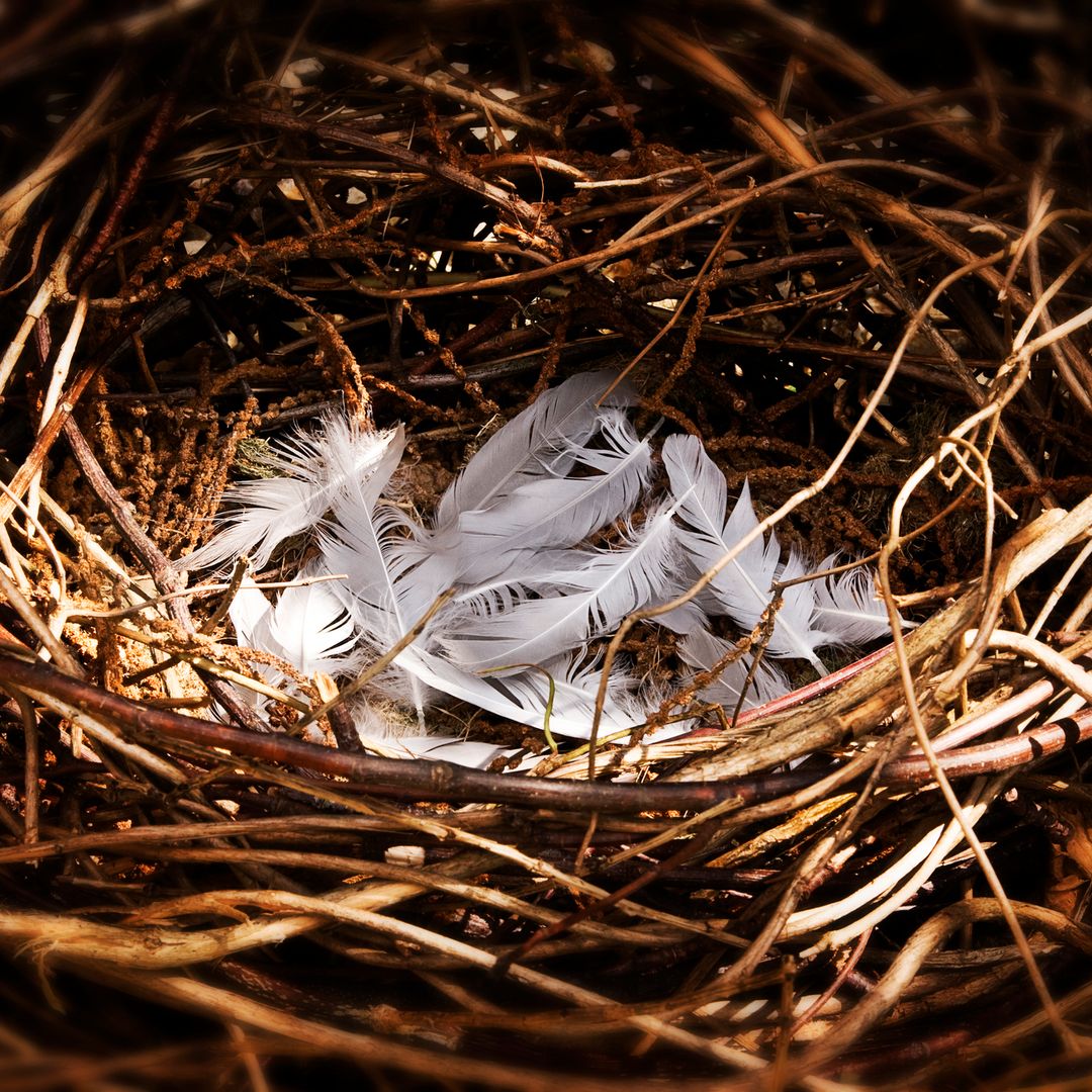How to reframe the 'void' of an empty nest – from women who have been there