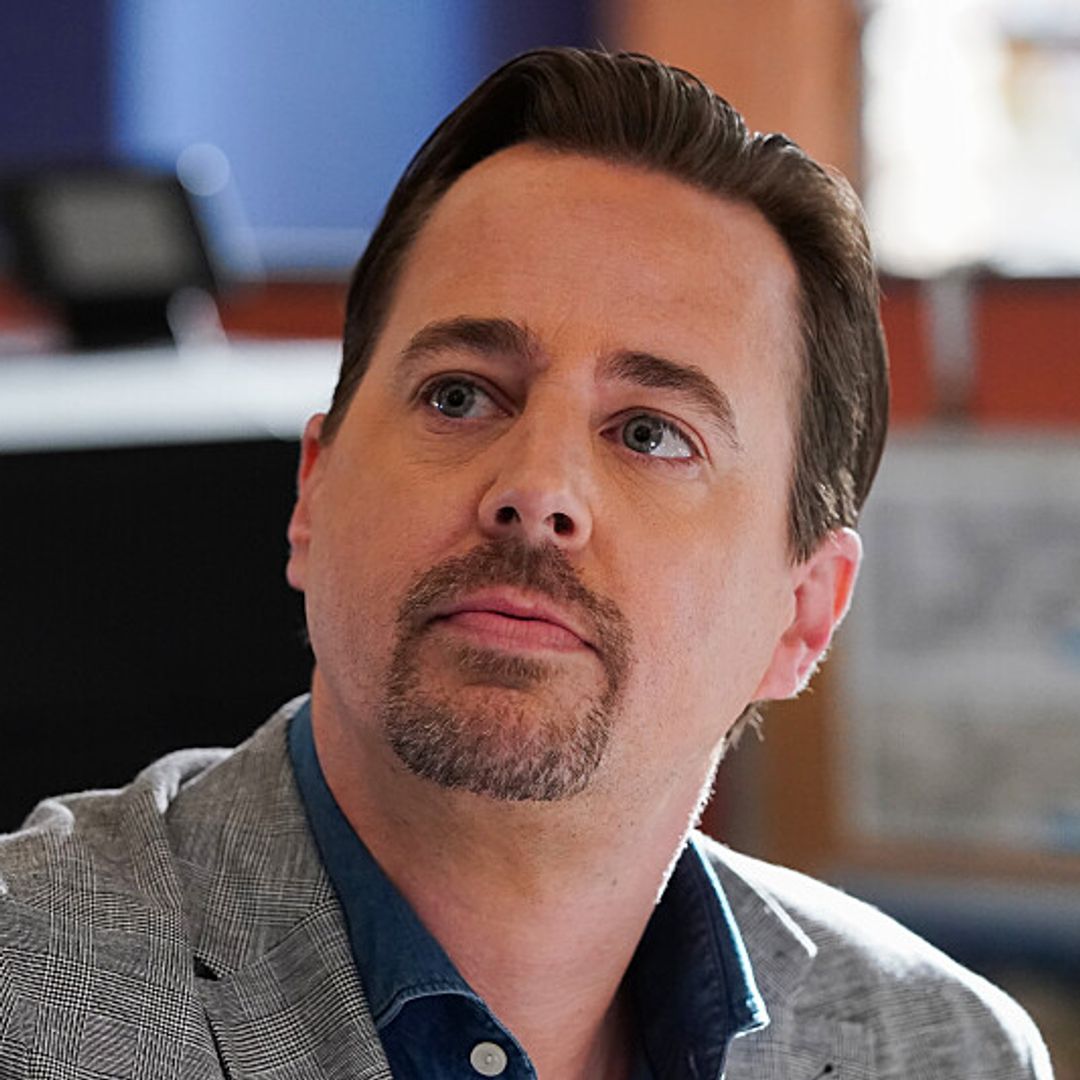 Newly single NCIS star Sean Murray celebrates brand new chapter