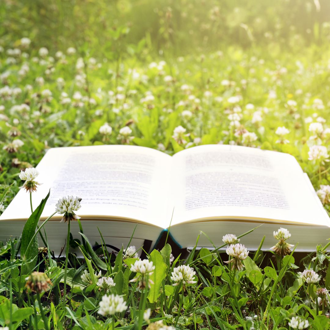 10 best books about coping with grief to help deal with the loss of a loved one