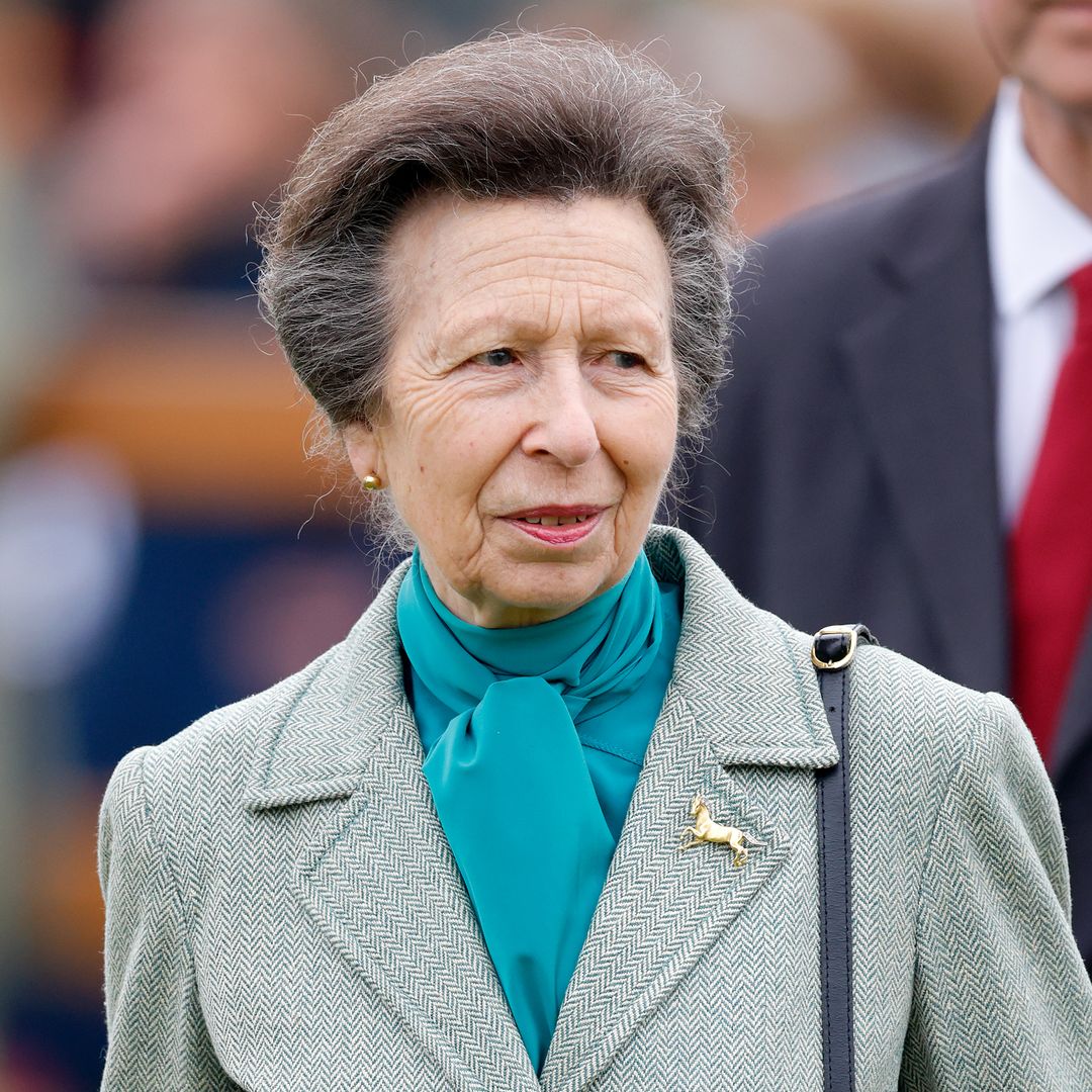 Princess Anne ventures into unexpected territory with lingerie brand partnership