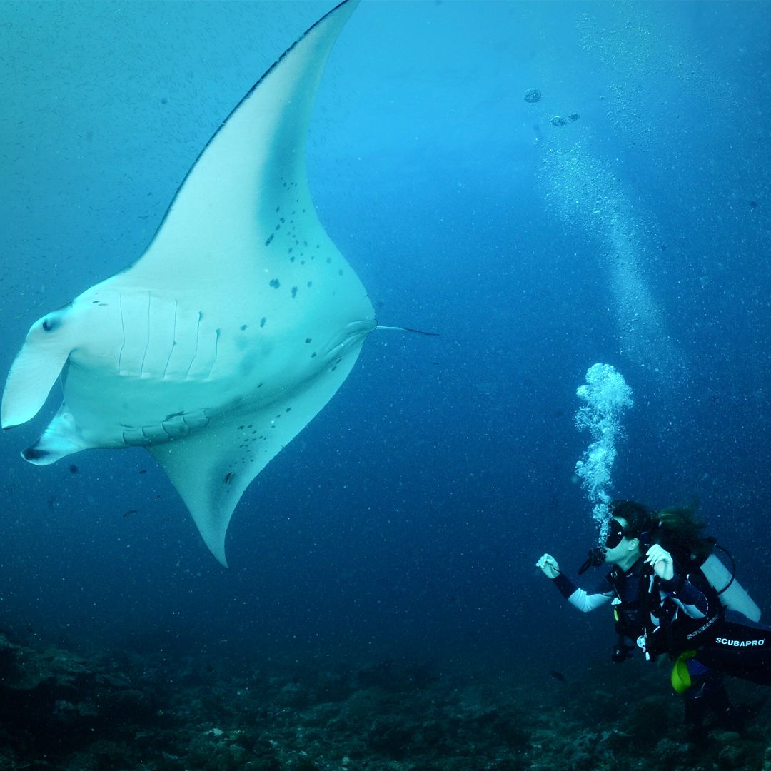 This Maldives honeymoon hotspot was the perfect base for my Mission Impossible-style adventure holiday