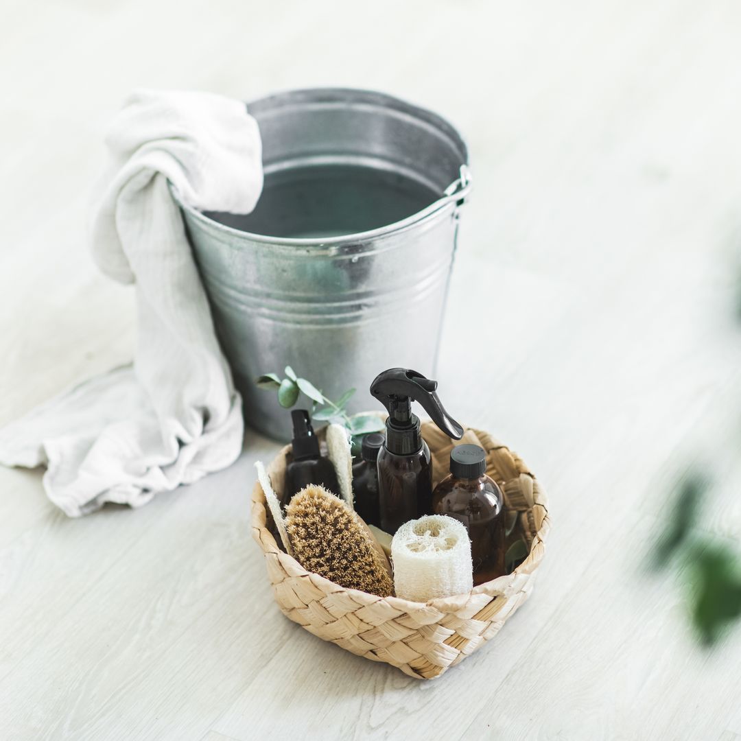 Is your daily cleaning routine effective? What experts say about natural, pet safe products