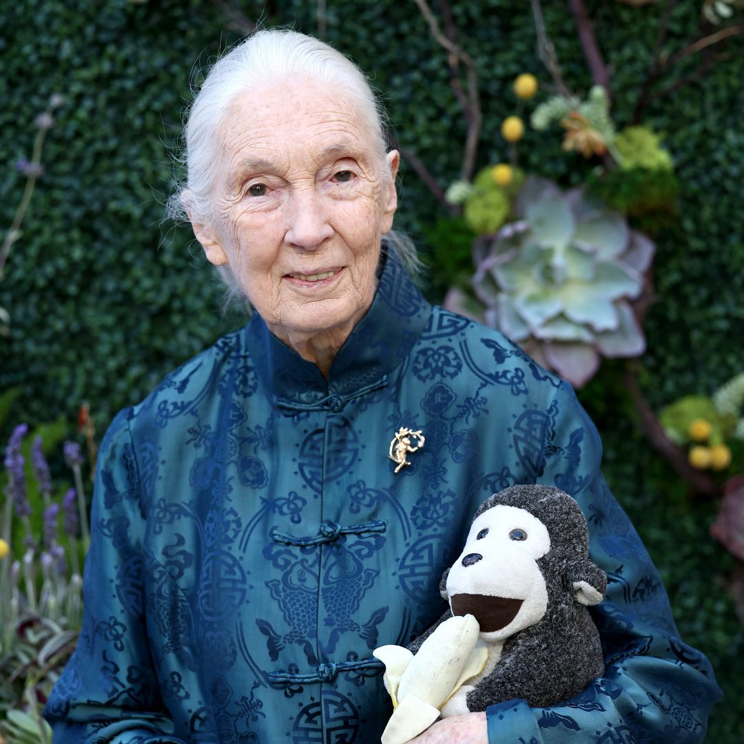 Conservationist Jane Goodall dies aged 91