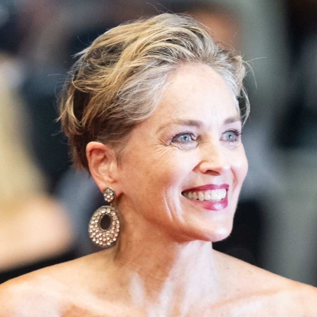 Sharon Stone celebrates Madonna's birthday in a black gown-clad throwback