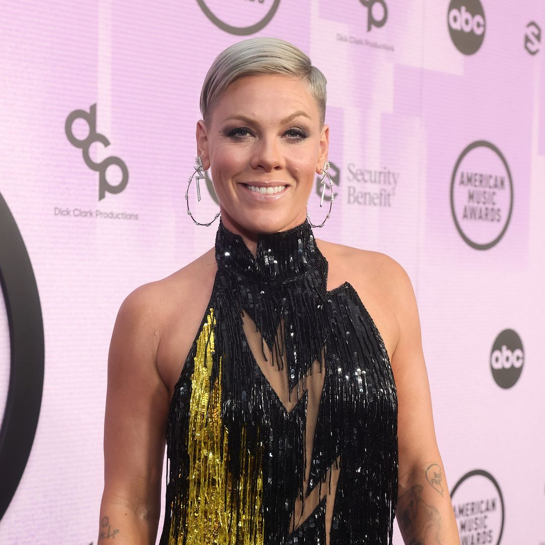 Pink supported by fans as she reveals health woes interrupted vacation with daughter