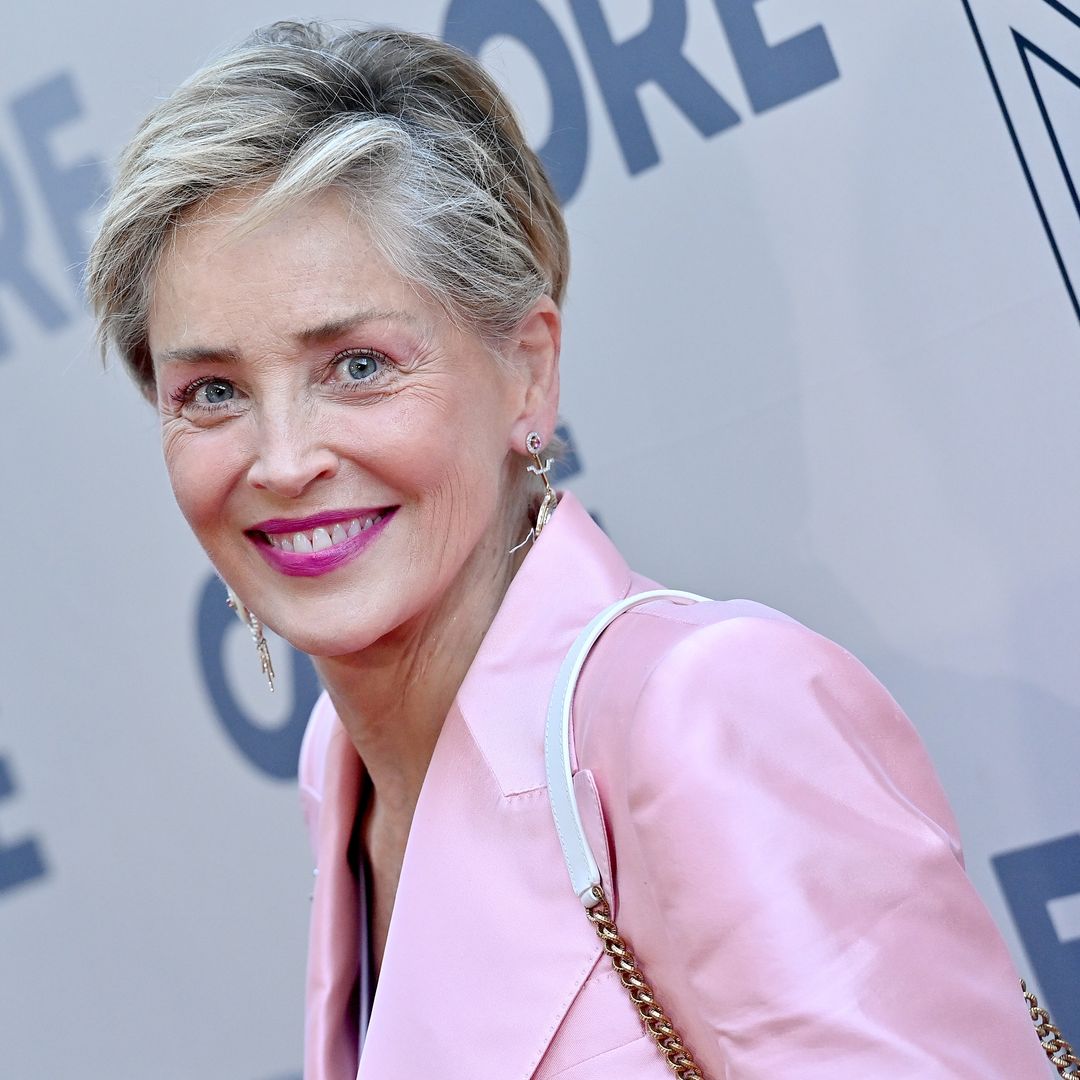 Sharon Stone admits she had 'zero money’ after losing multi-million dollar fortune following devastating stroke