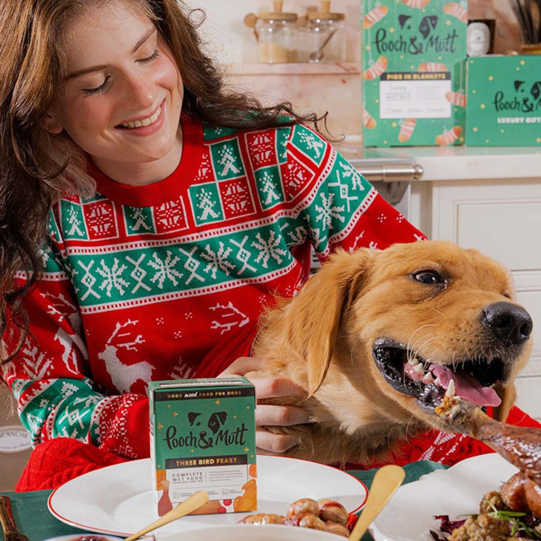 How to get your dog involved in Christmas festivities – from pooch-friendly ready meals to presents