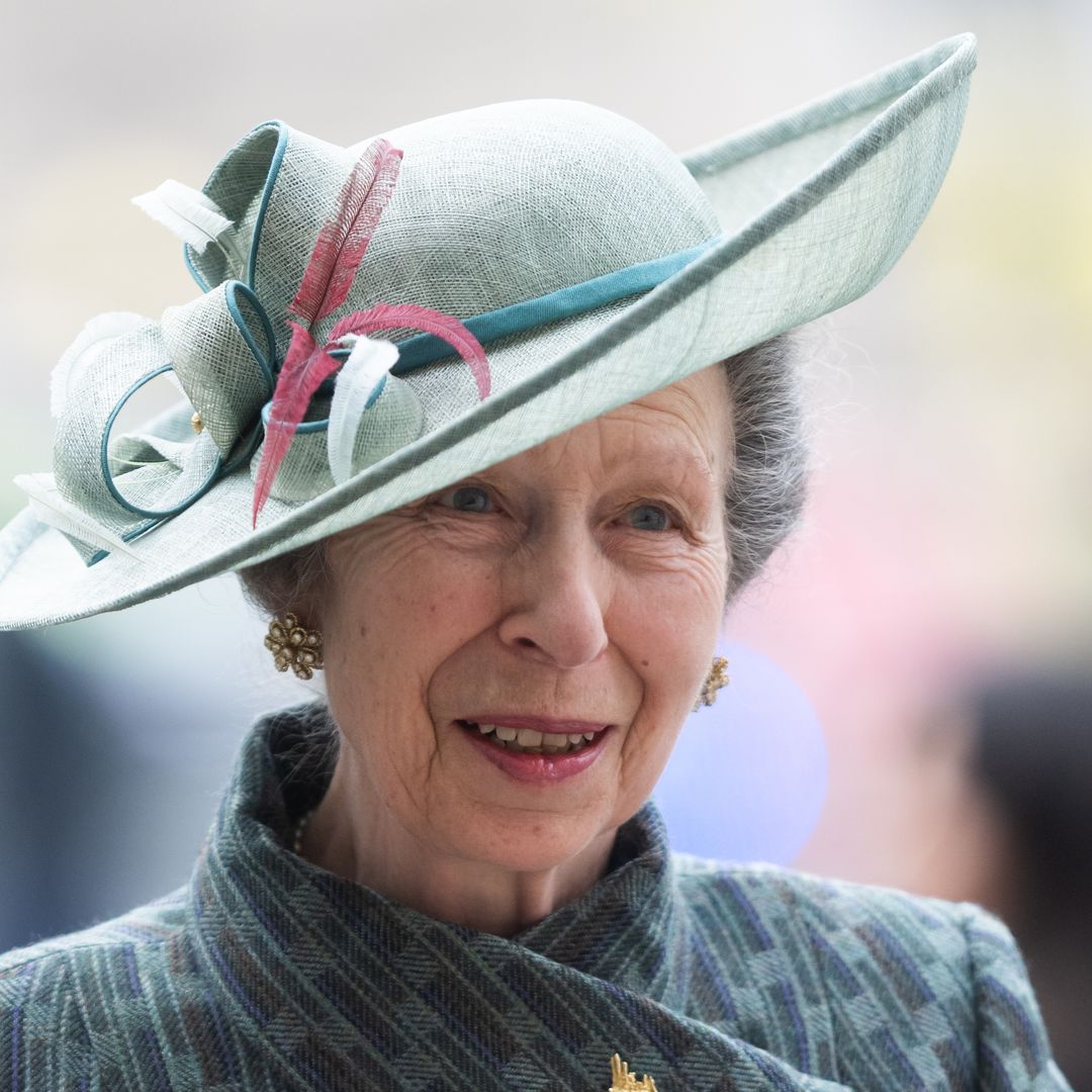 Princess Anne just made her feelings clear about Queen Camilla in  surprising comment | HELLO!
