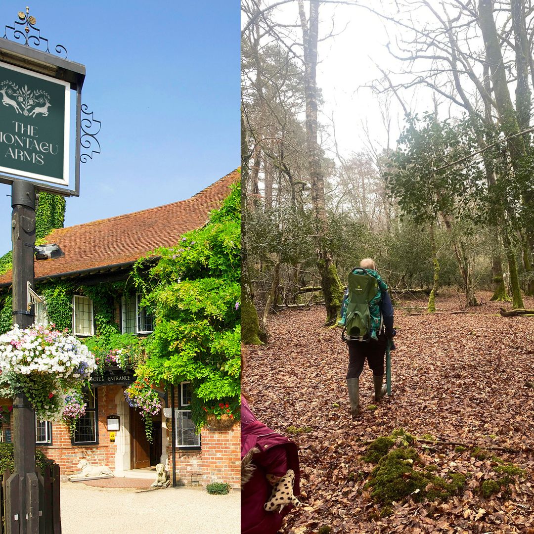 I took my family on a luxury New Forest holiday – and made some wild discoveries